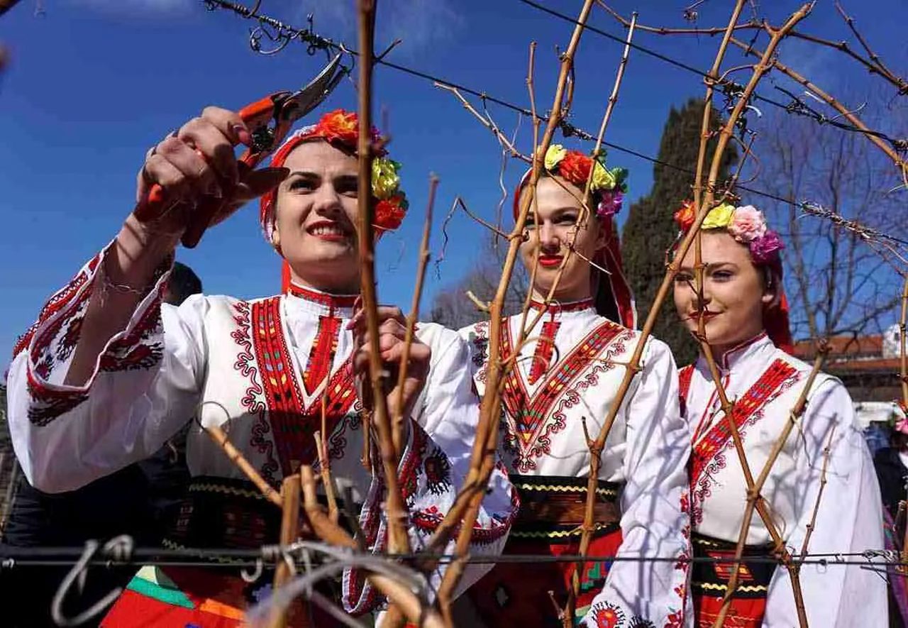 Viticultorii din Taraclia păstrează tradiția: Trifon Zarezan, sărbătorit la Tvardița