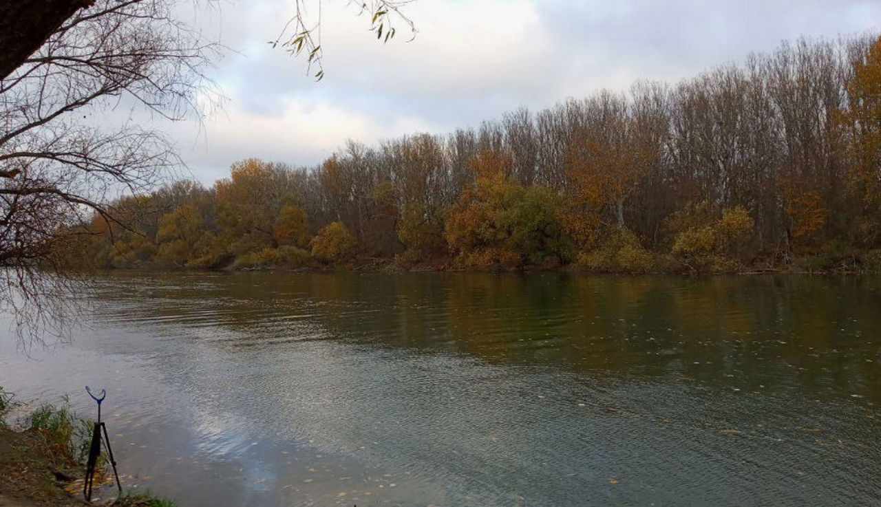 Râul Nistru, sub presiune: poluarea agricolă și debitul scăzut afectează grav ecosistemul