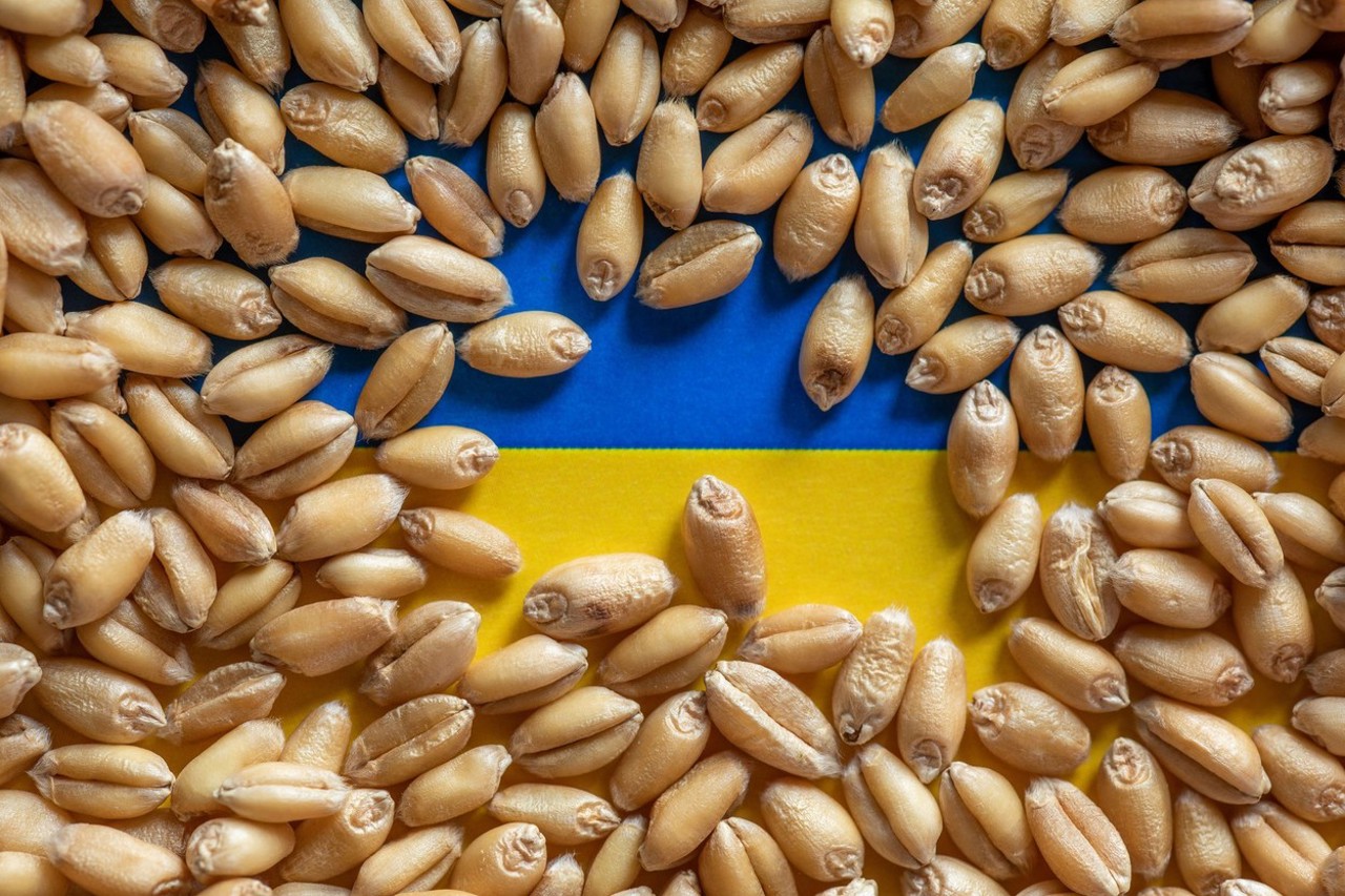 Польские фермеры украинское зерно. Украинское зерно. Grain Flag eu.