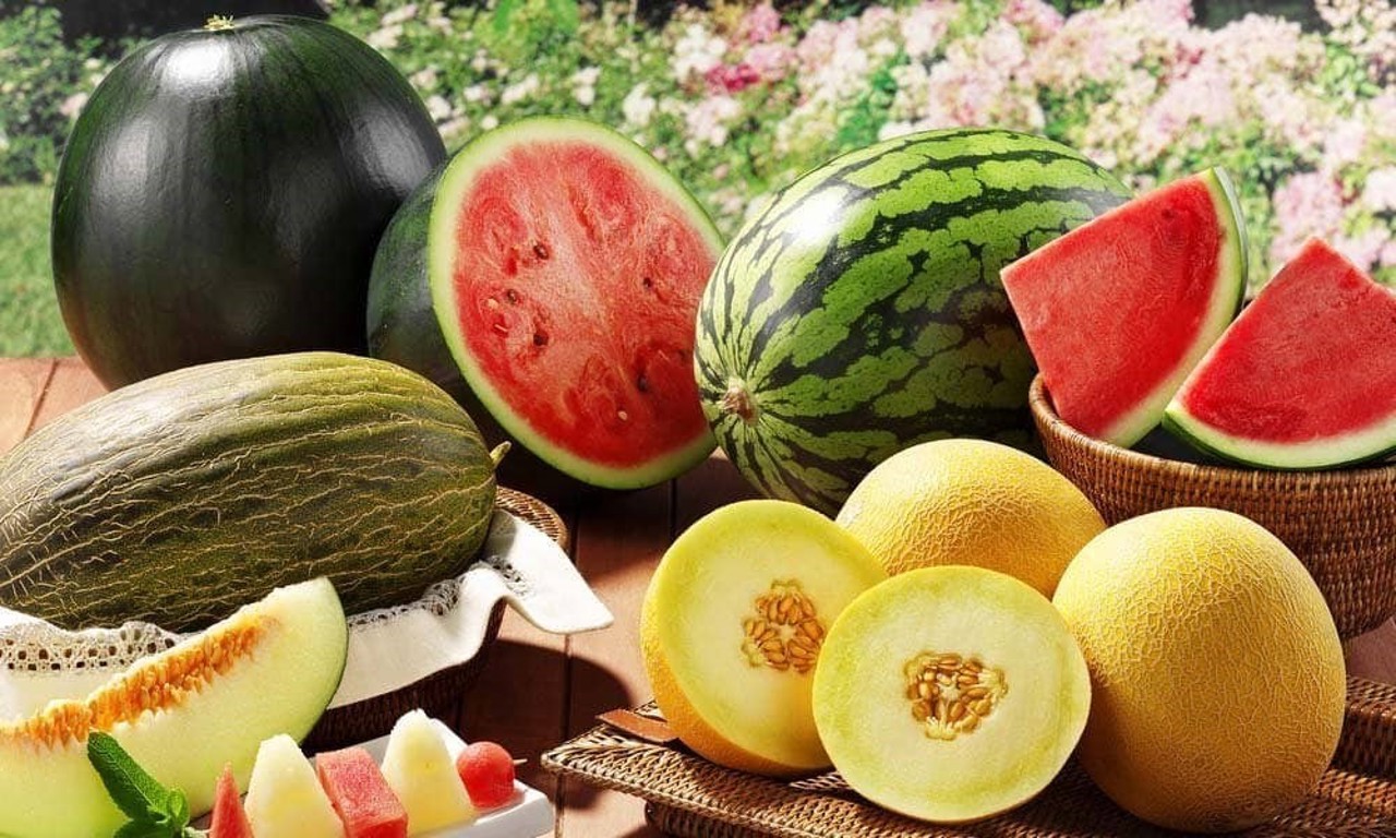 Специалисты советуют при покупке арбузов или дынь требовать у продавцов сертификат качества 