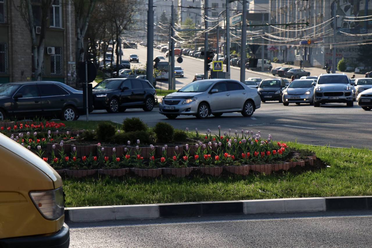 Полицейские рейды на дорогах: только в Кишинёве за три часа штрафы получили почти 200 водителей