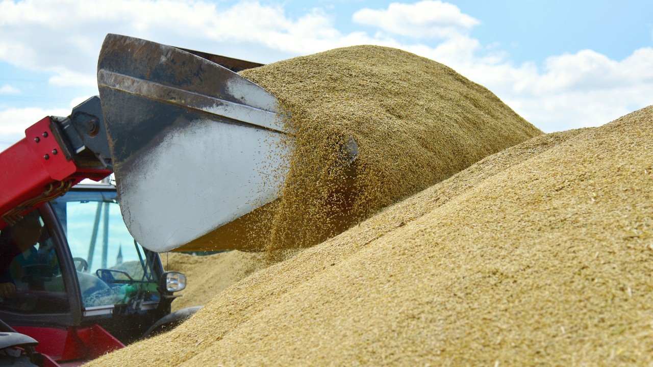 Romania requests EU to extend Ukraine grain import restrictions