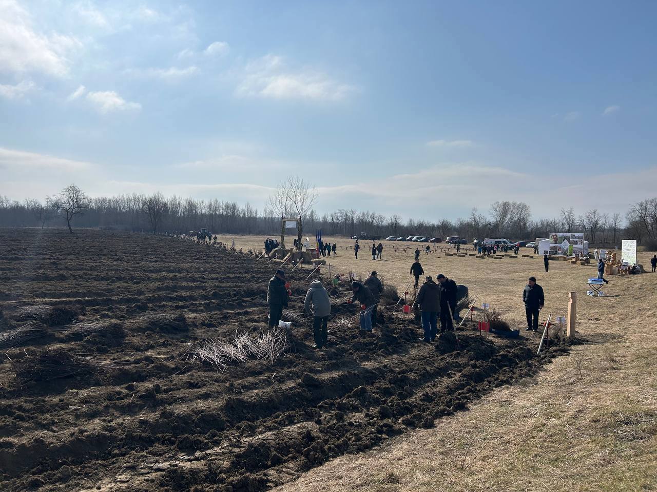 “Forest Generation” Campaign: Volunteers from Moldova and Romania plant saplings