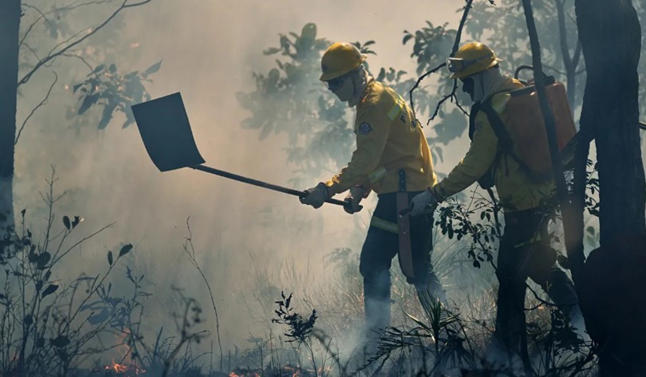 Incendiu masiv de vegetație în Spania: Peste 330 de hectare de teren au ars, oamenii au fost evacuați 