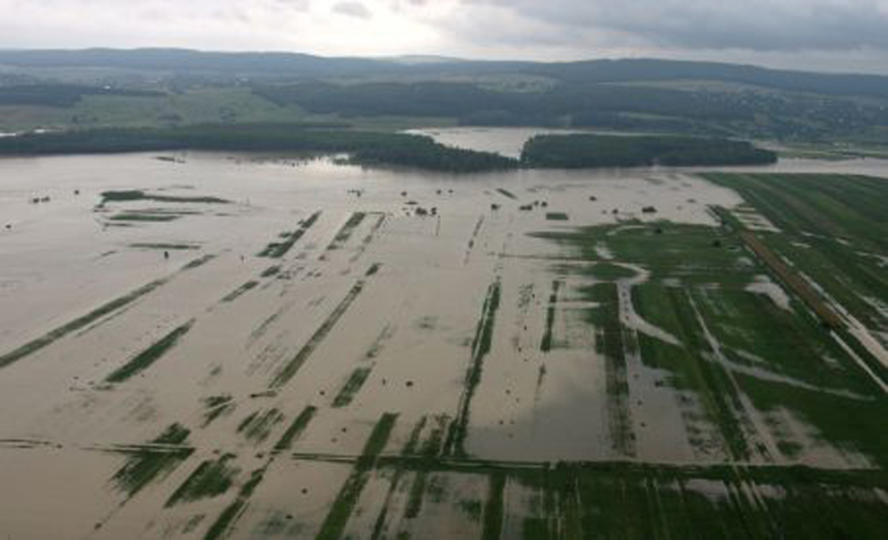 Ministerul Agriculturii: Fermierii afectați de intemperii sunt îndemnați să contacteze autoritățile publice locale