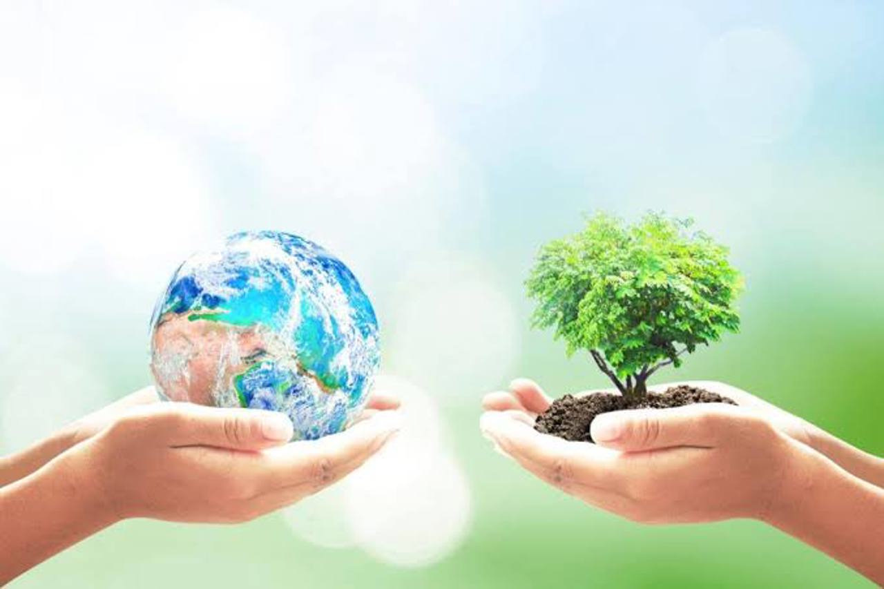 Peste 300 de școli din țară au inclus în oferta curriculară disciplina opțională „Educație ecologică”