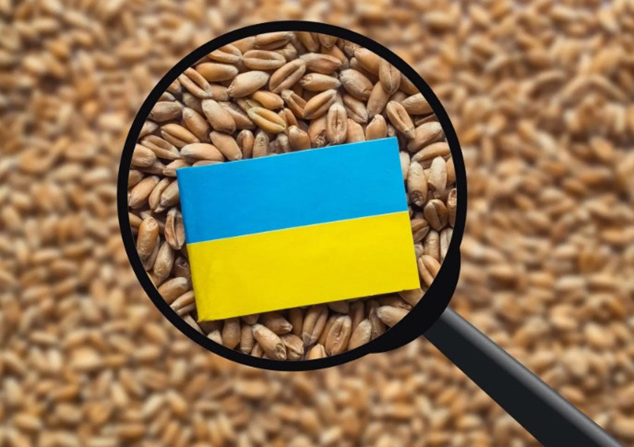 Fermierii cer din nou prelungirea licențierii importului de cereale și oleaginoase din Ucraina 