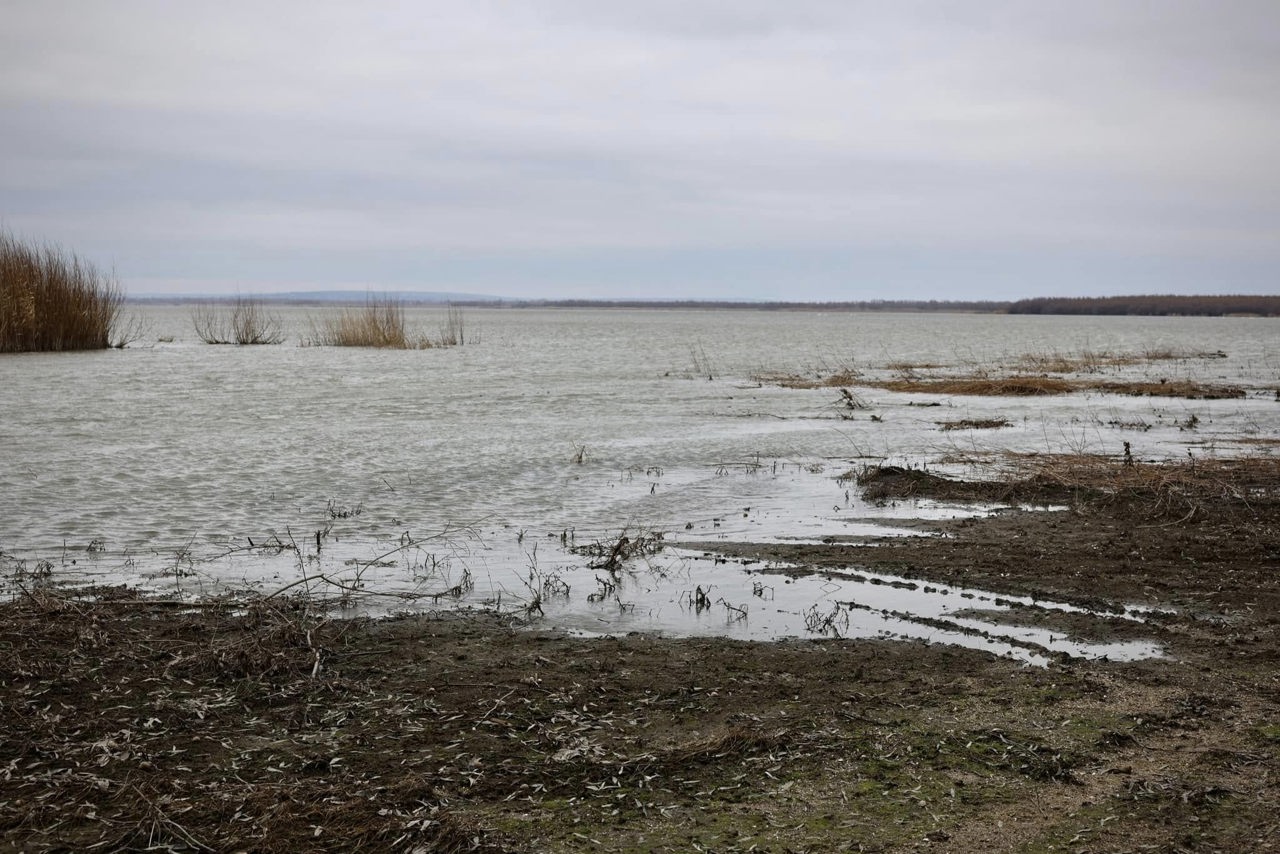 Două canale care alimentează Lacul Beleu vor fi curățate