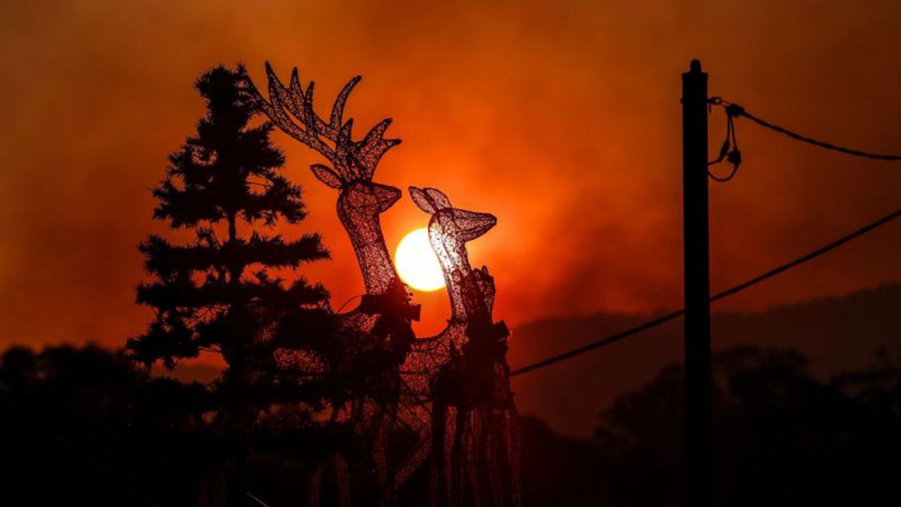 Earth fever: 2023 Blazes as hottest year on record