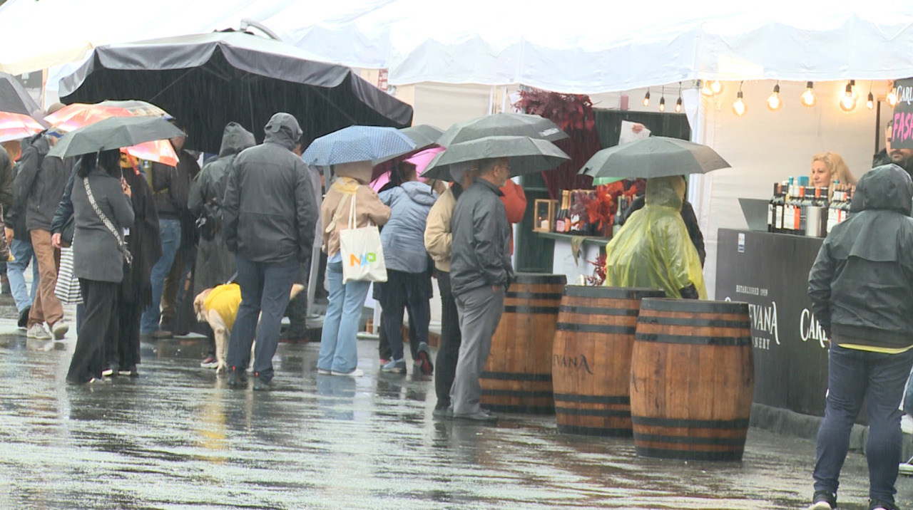 Moldova's Wine Day draws 150,000 despite rain