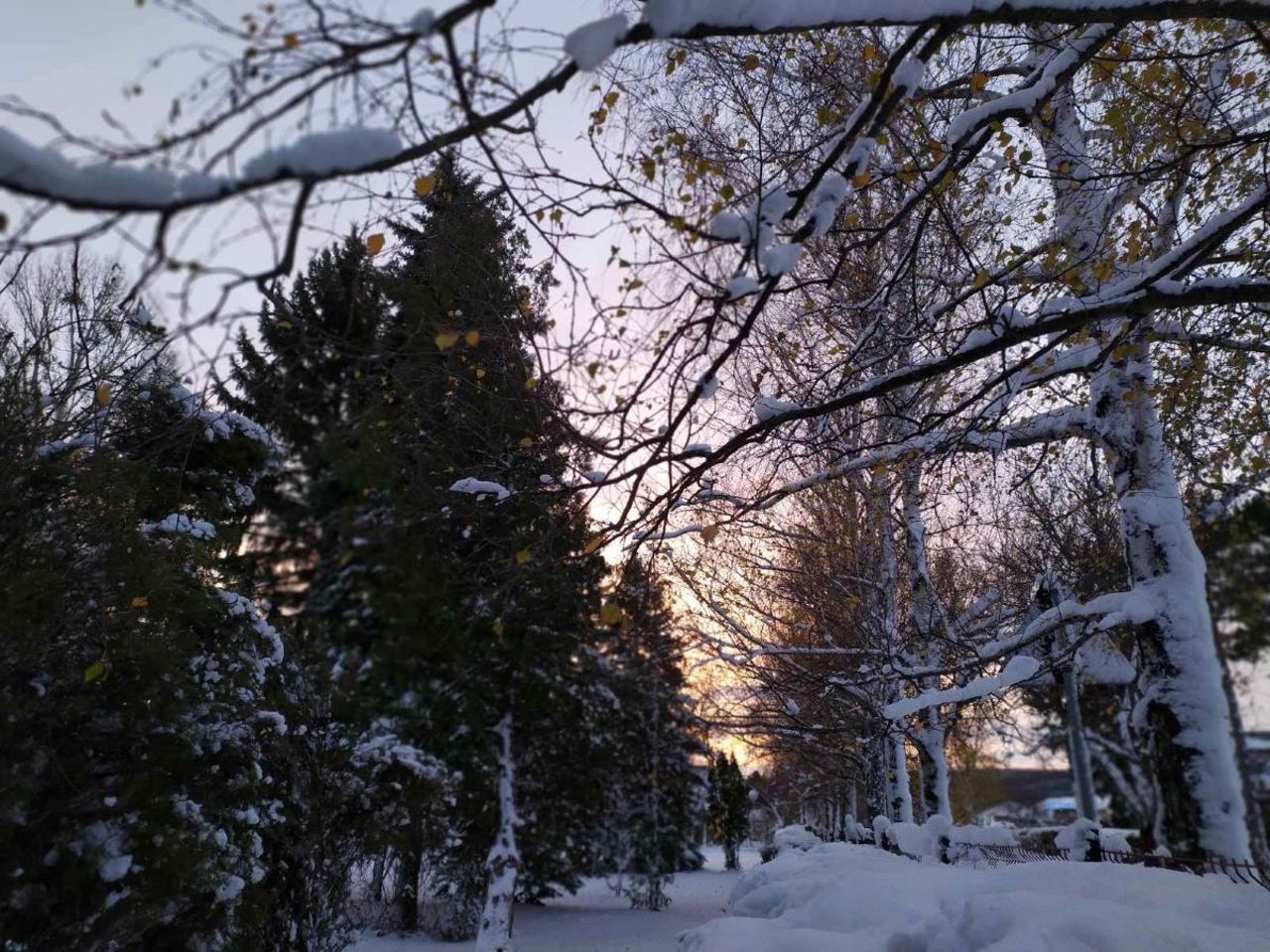 METEO // Viscolul a încetat. Vremea se încălzește simțitor