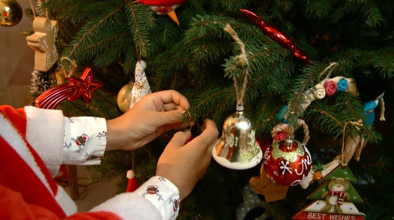 Christmas trees decorated in homes at winter’s start