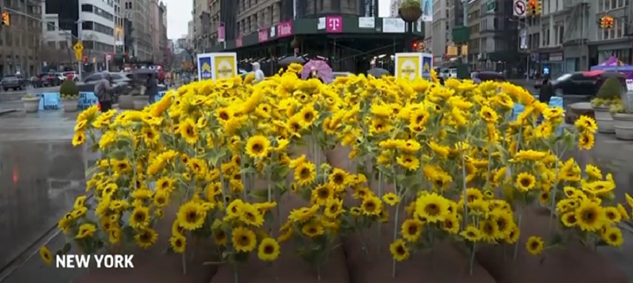 #UniifyUkraine: 333 цветка в центре Нью-Йорка за каждый день войны в Украине