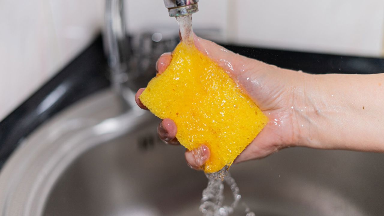 STUDIU | Salmonella, Staphylococcus și E. coli: Bacteriile care trăiesc în buretele din bucătărie chiar dacă pare curat