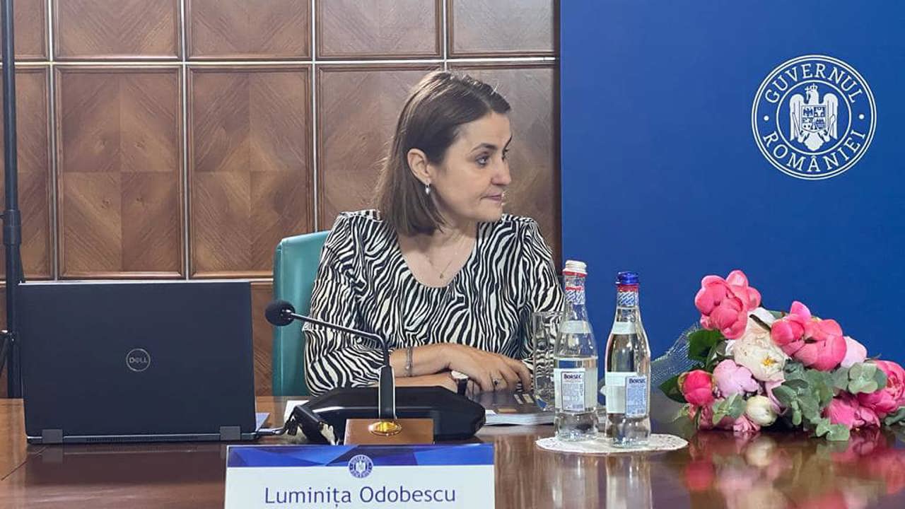 https://www.facebook.com/luminita.odobescu