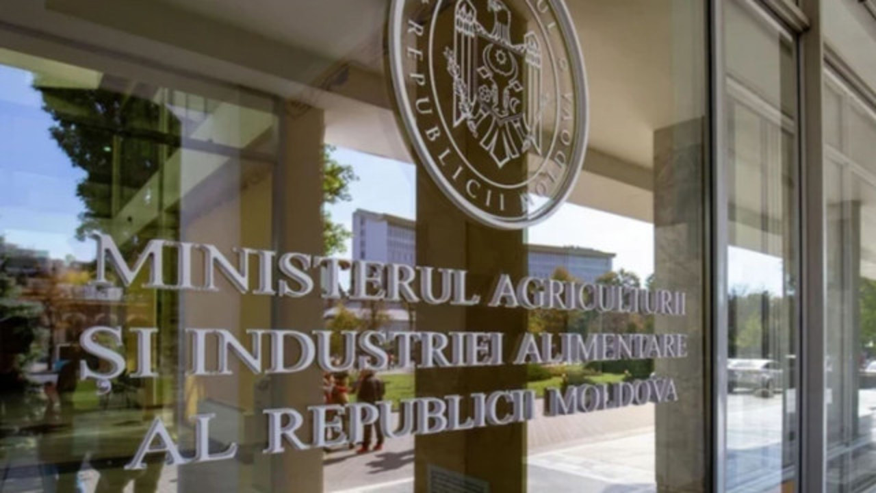 Secretară de stat de la MAIA, reținută de CNA: Ar fi primit bani pentru a facilita reluarea importului de carne de pasăre din Ucraina