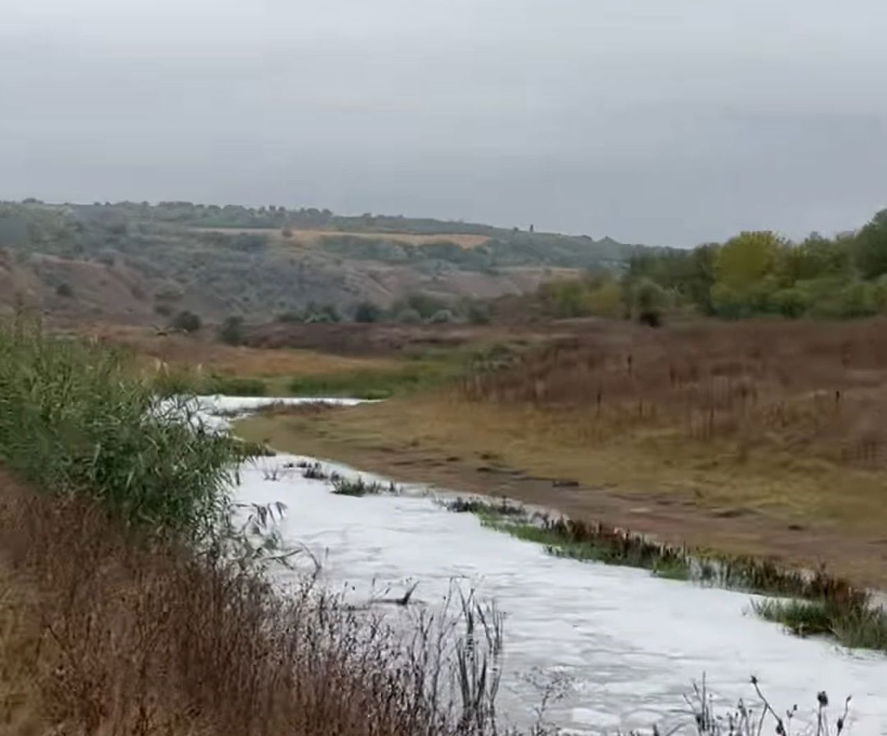 Răut River pollution: Chemical discharge probed near Orhei