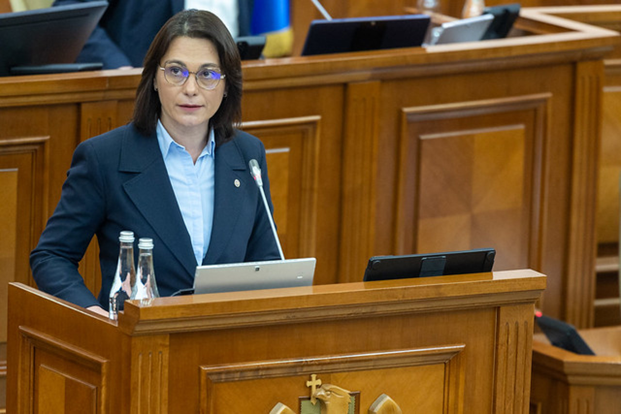 Daniella Misail-Nichitin, în Parlament: „Creșterea numărului de cauze de droguri reflectă controlul asupra traficului”