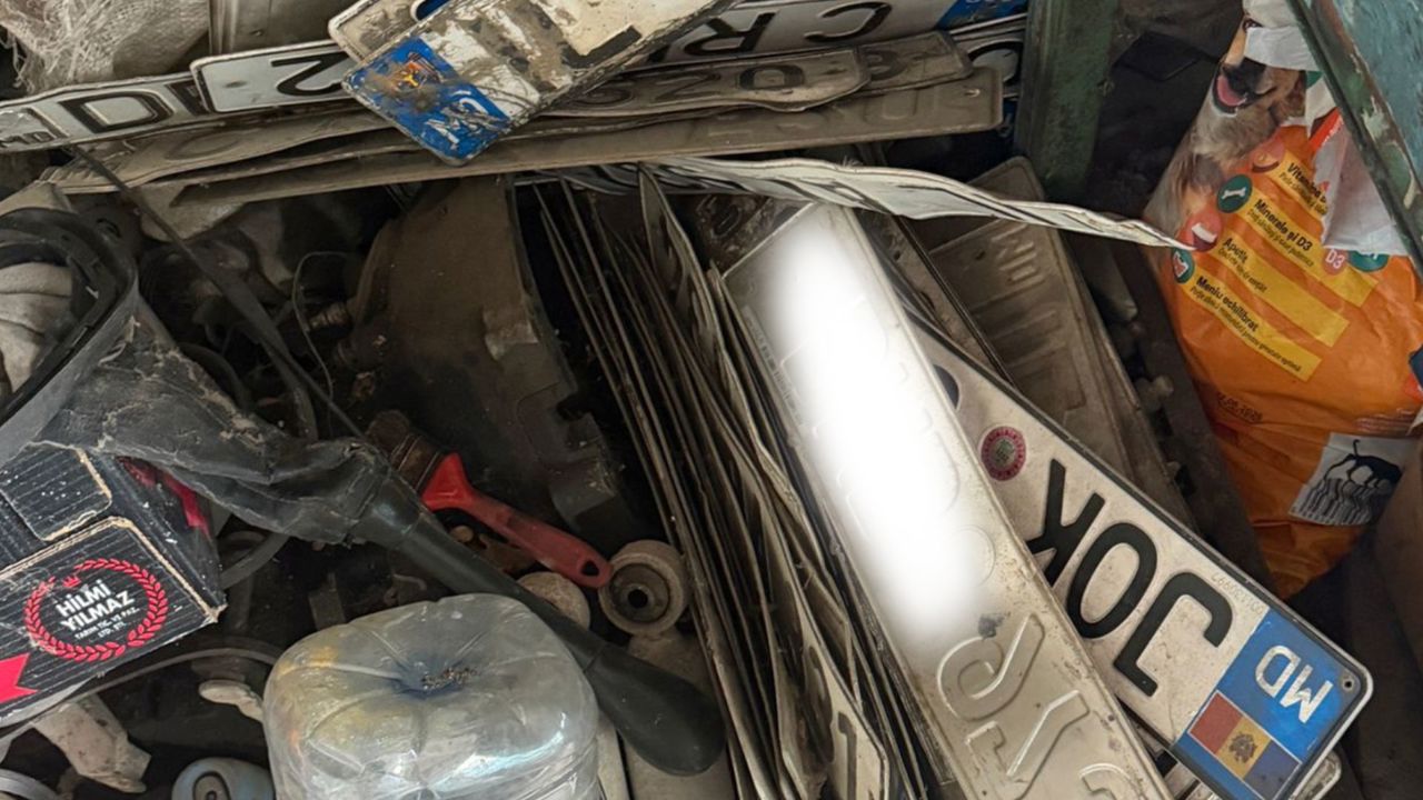 Customs Service of the Republic of Moldova