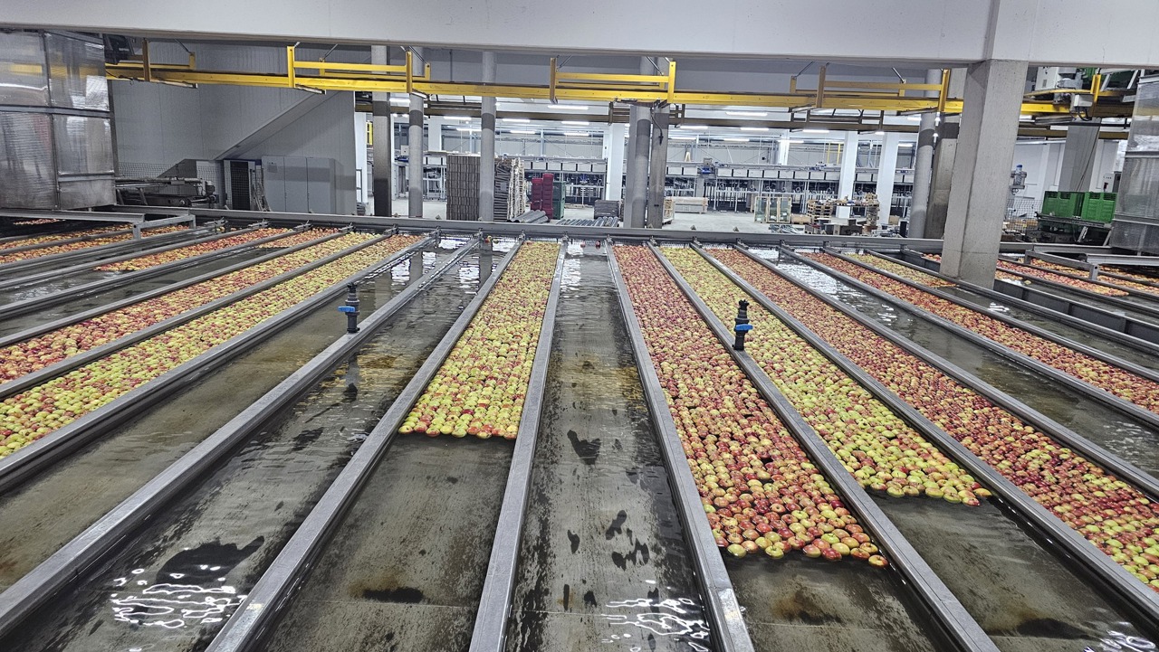 Economia R. Moldova: creștere modestă, susținută de construcții și IT, dar frânată de agricultură și transporturi