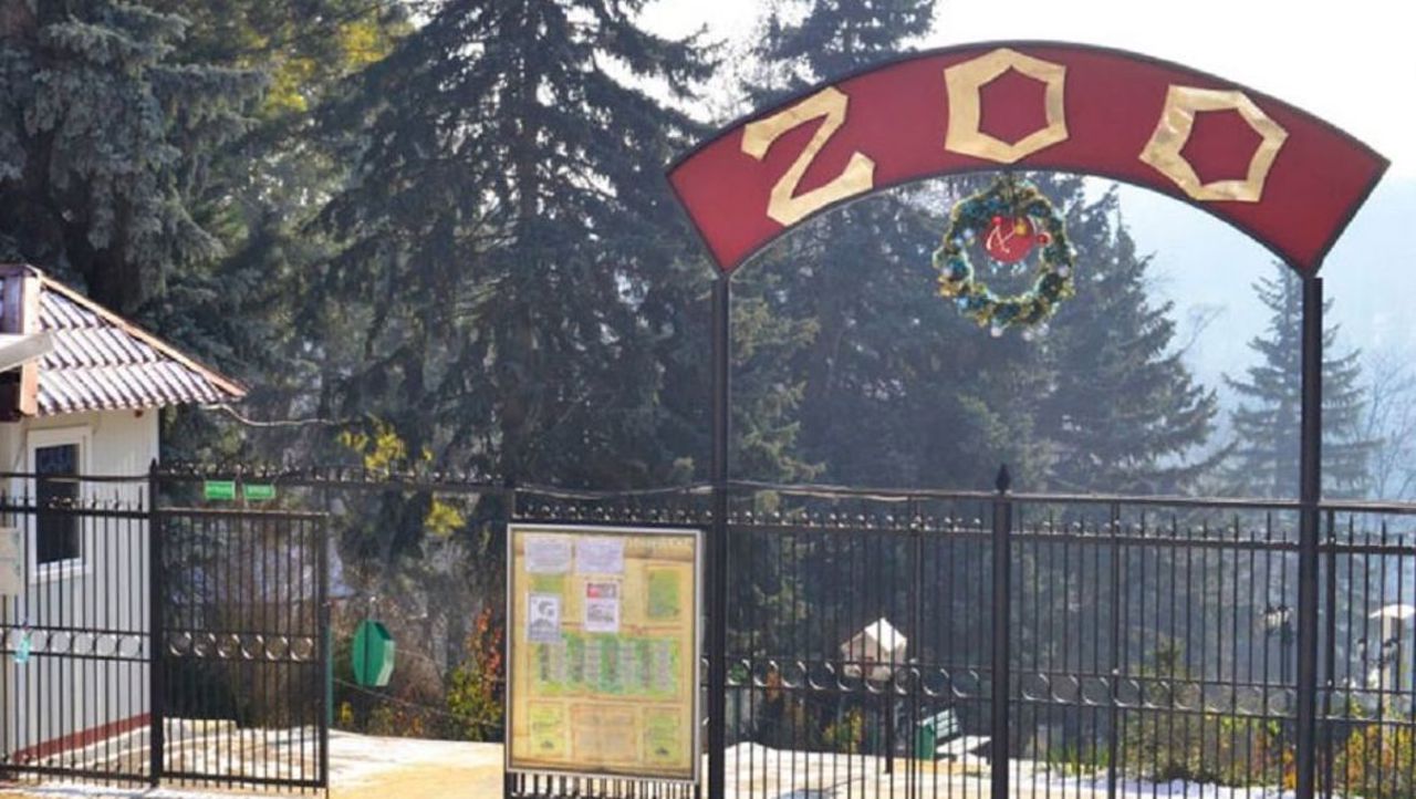 Canicula, o adevărată provocare pentru animalele de la Grădina Zoologică din capitală