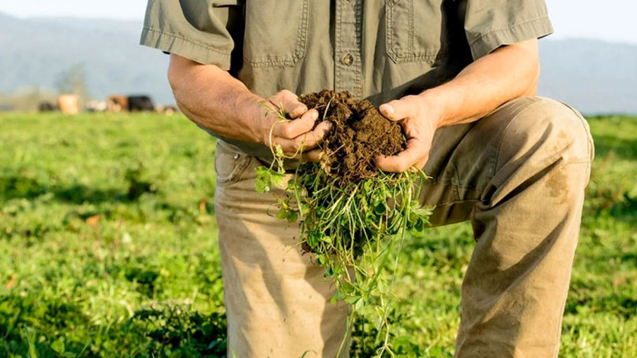 Zece agricultori din R. Moldova studiază modelele Camerelor Agricole din Germania și Austria 