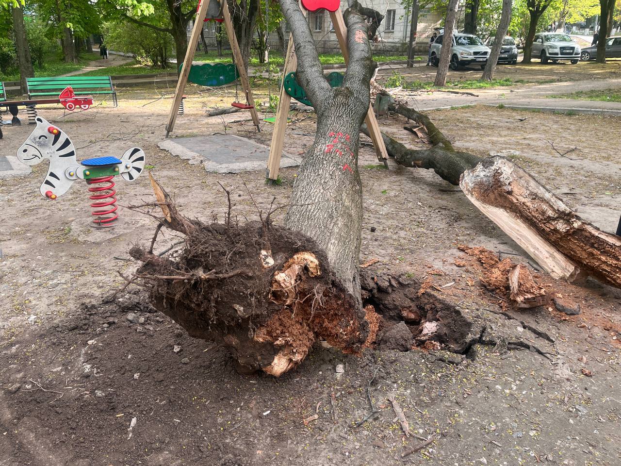 Consecințele vântului puternic, în Chișinău: Arbori doborâți peste un troleibuz cu pasageri și pe un teren de joacă 