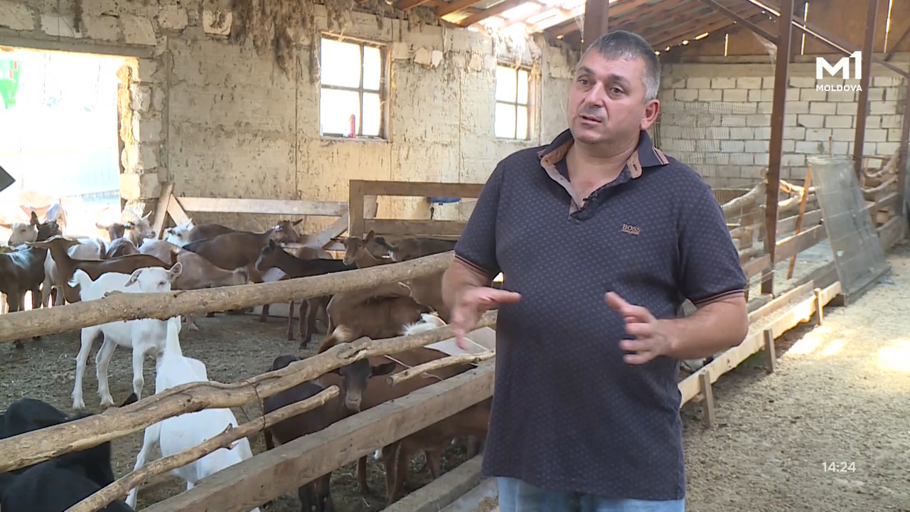 „Pământ și Oameni” din 8 iunie 2025