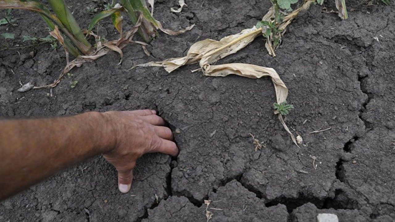 Stare de urgență în agricultură: „Forța Fermierilor” propune măsuri pentru a evita criza din sector