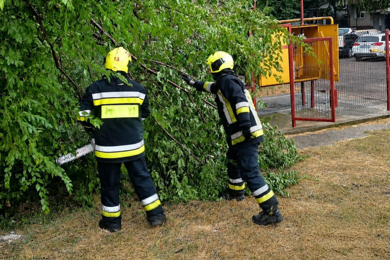 Arbori prăbușiți peste case și drumuri, acoperișuri distruse. Bilanțul intemperiilor din 6 august