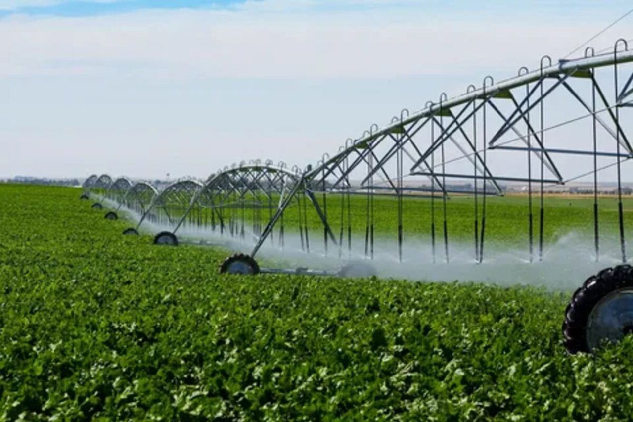ChatGPT a spus: Over $300K in grants for farmers going organic