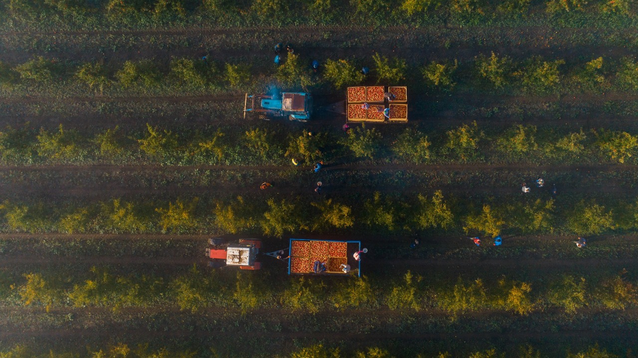 RAPORT | „Fază incipientă”: Agricultura, mediul și finanțele, domeniile cu cele mai mari restanțe în procesul de aderare la UE