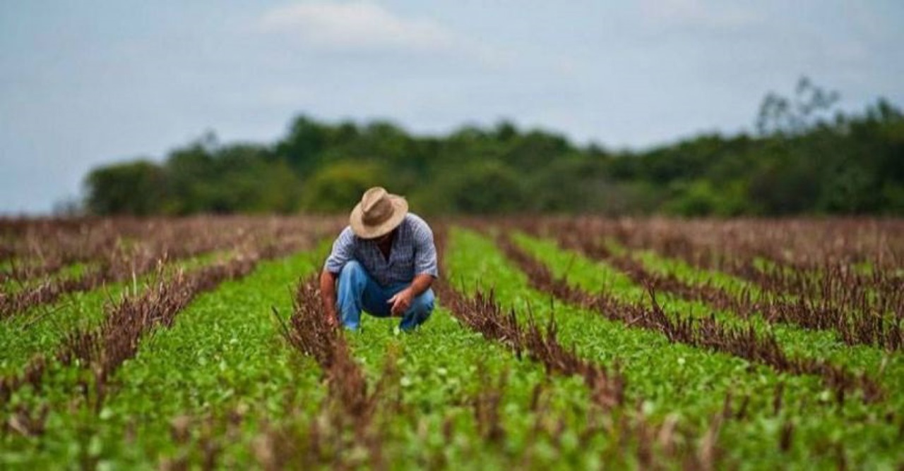 Guvernul dezminte o scrisoare legată de susținerea agriculturii din Republica Moldova din partea UE