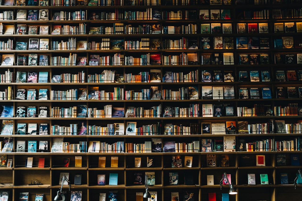 „Bibliotecile sunt un fel de calculatoare offline”: Femeile, cititoare mai avide decât bărbații