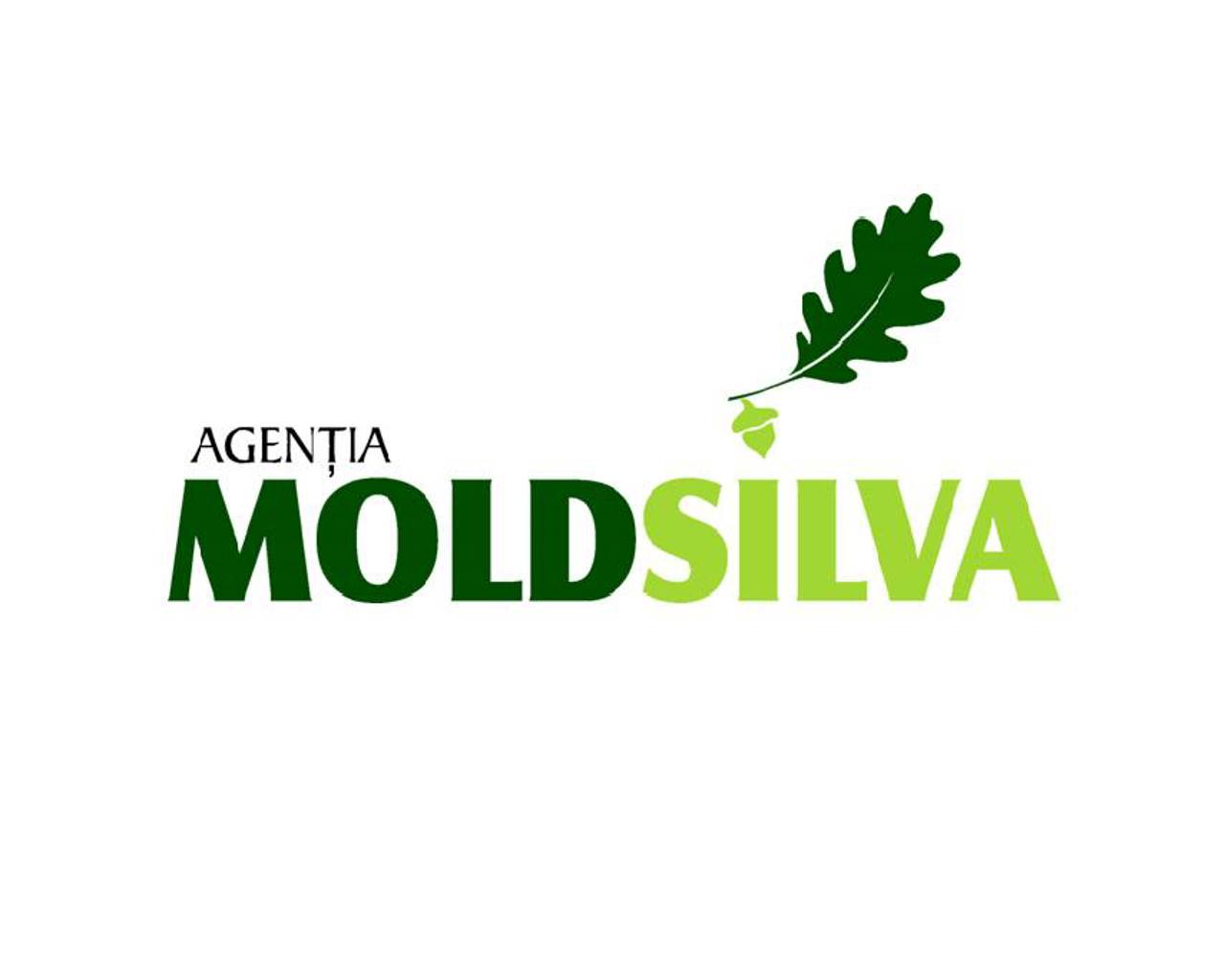 Director of Moldsilva Agency resigned