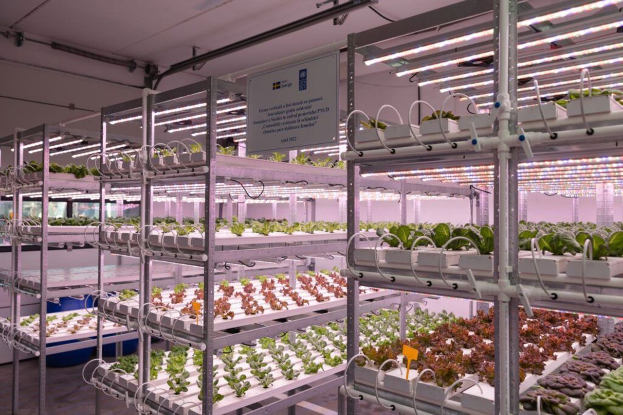 Moldova's vertical farming boom: High-tech hydroponics ensures stable yields