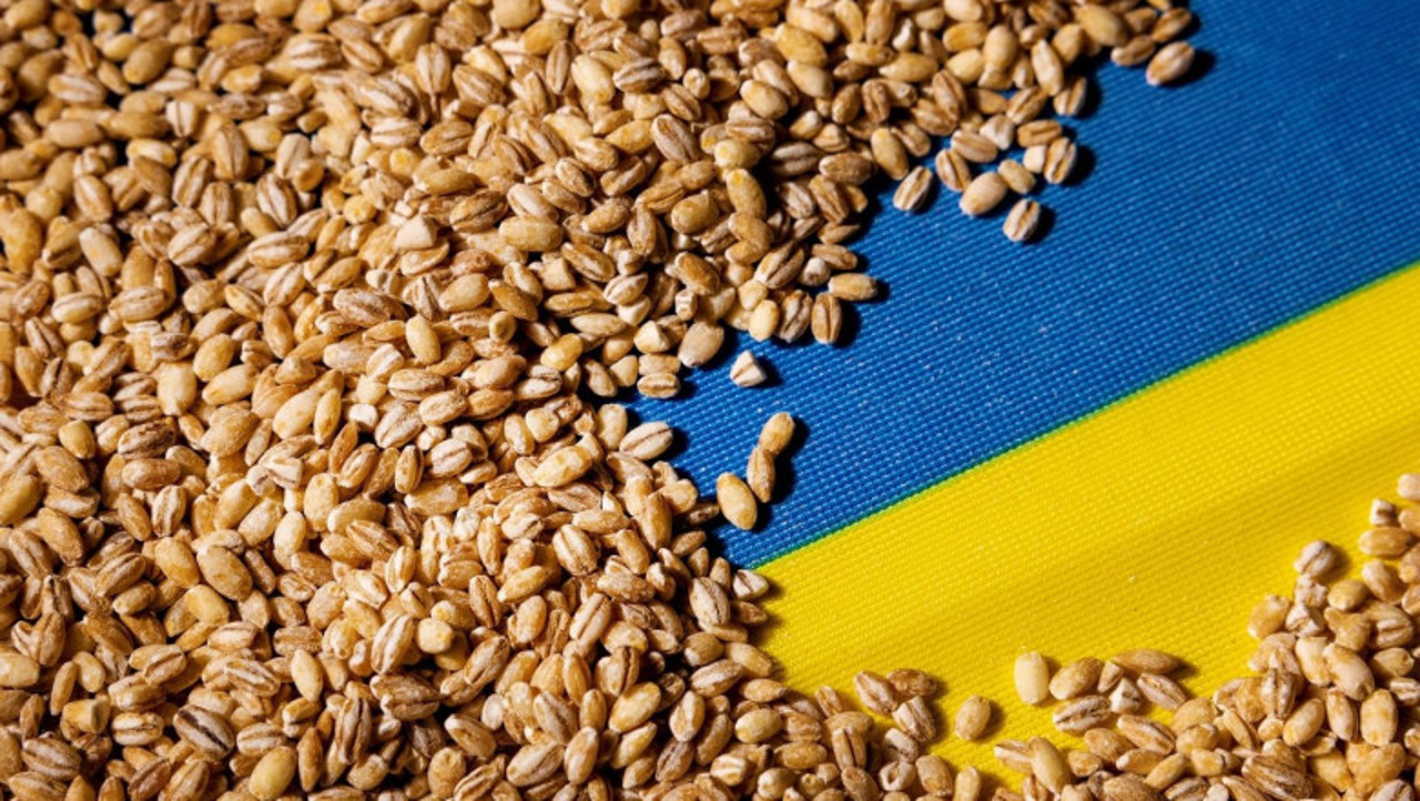 Ukrainian cereals transiting the territory of the Republic of Moldova will continue to be exempted from ANSA control