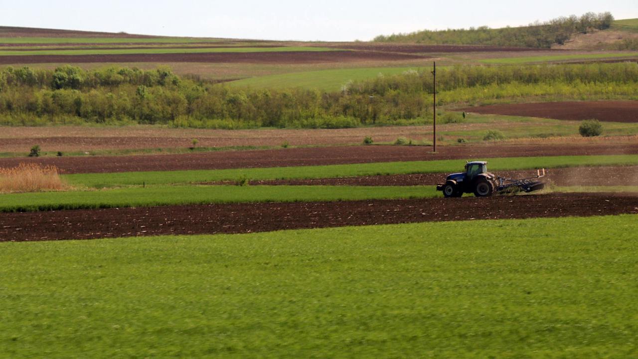 В Молдове объявили о создании пяти сельскохозяйственных палат