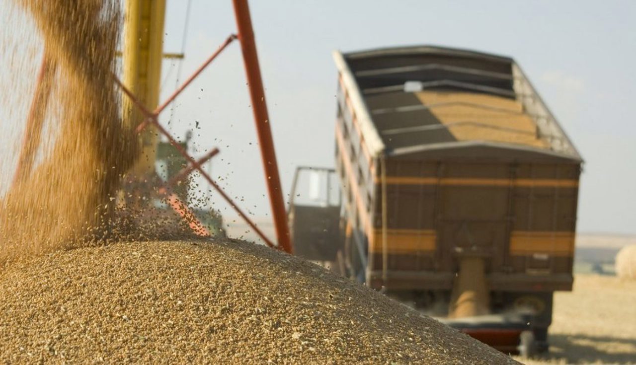 Moldova votes grain import curbs as lawmakers push extension to 2027 