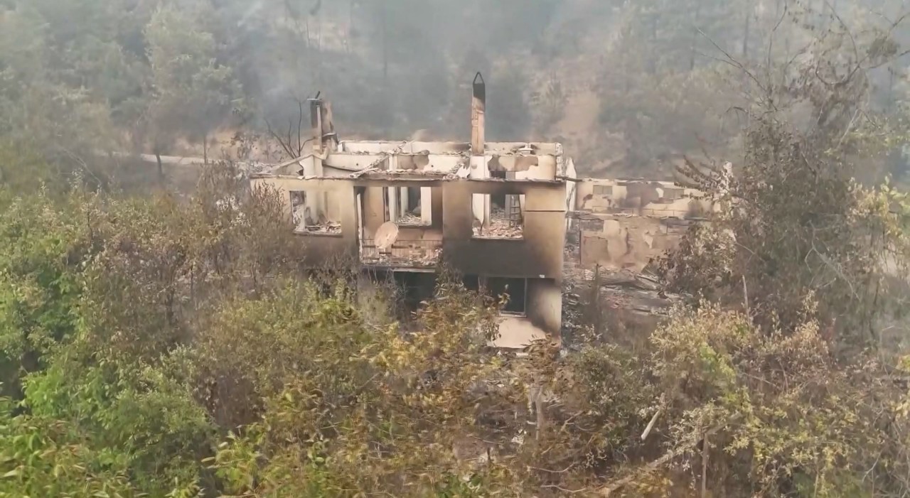 Лесные пожары в Турции, Болгарии и на Кипре: ситуацию усугубляет экстремальная жара и ветер