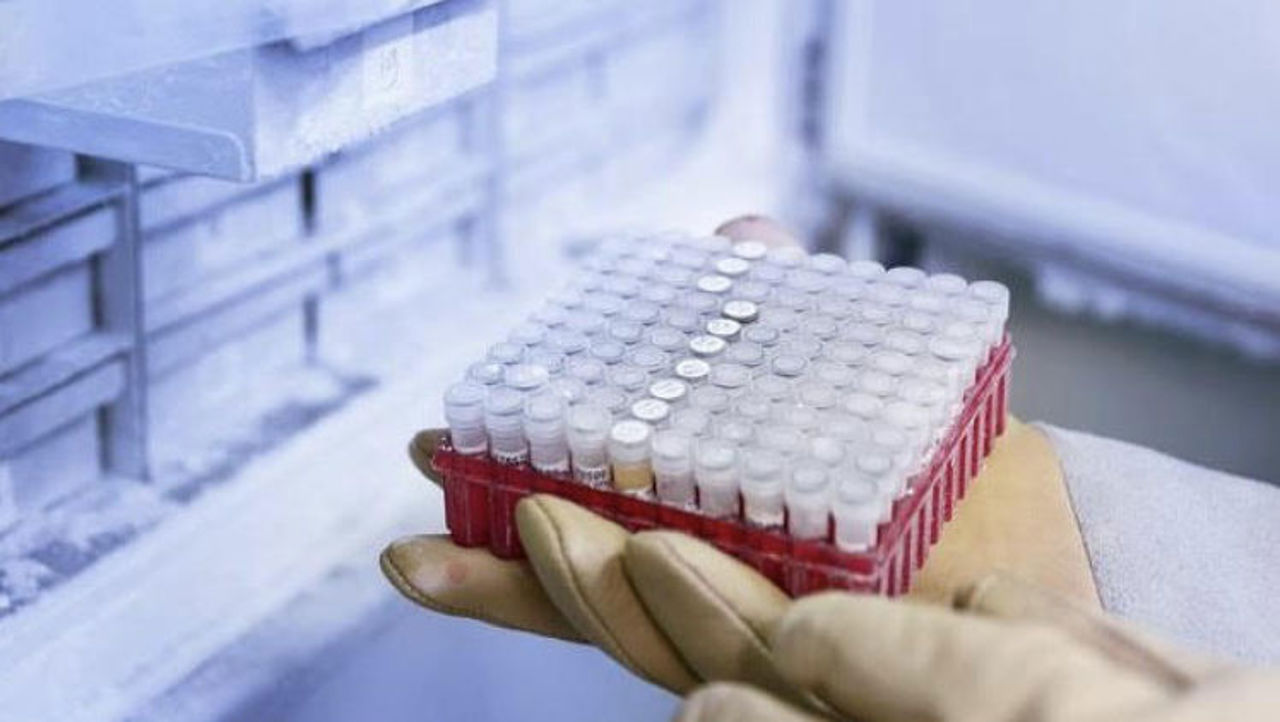 Activitatea băncilor biologice va fi reglementată prin lege