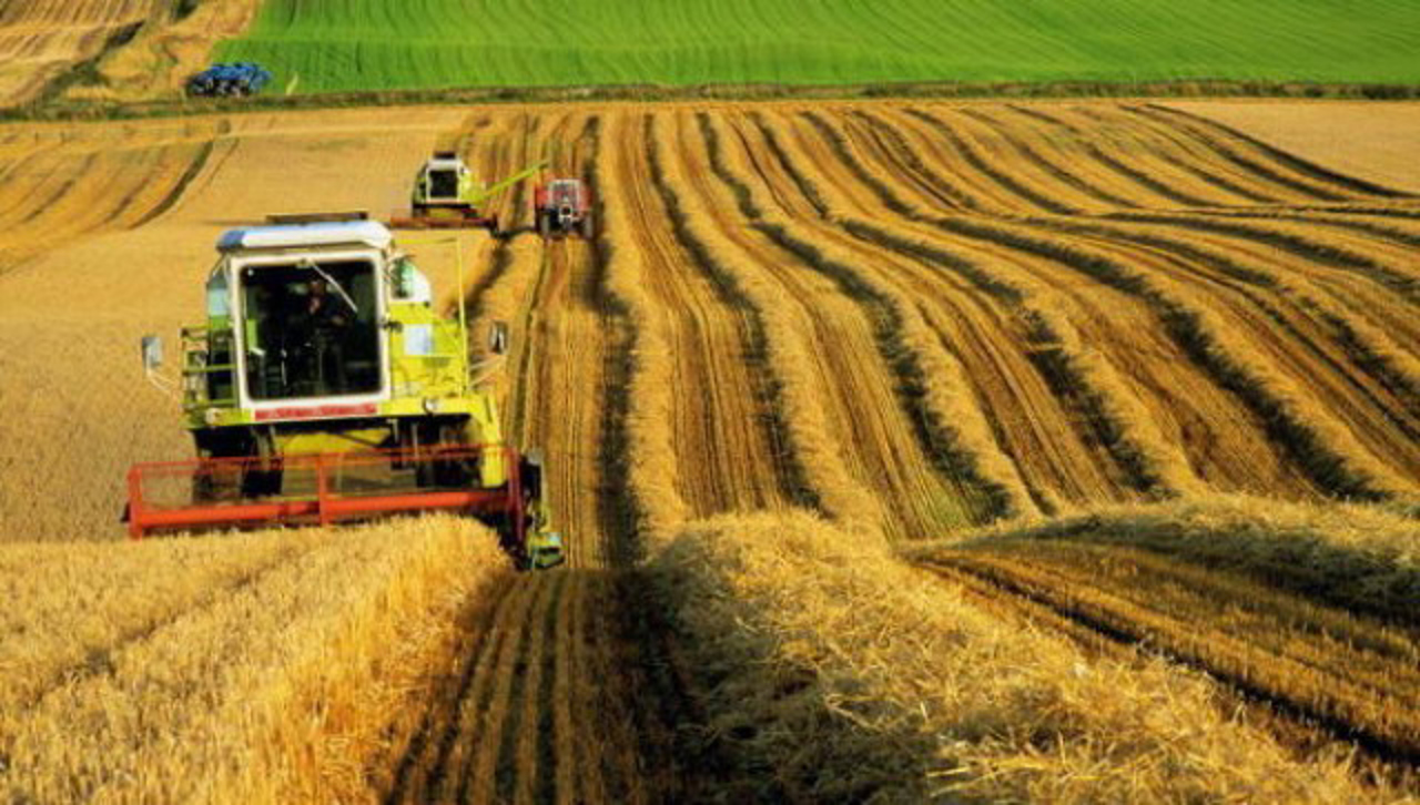 Deadline to submit files for agricultural subsidies