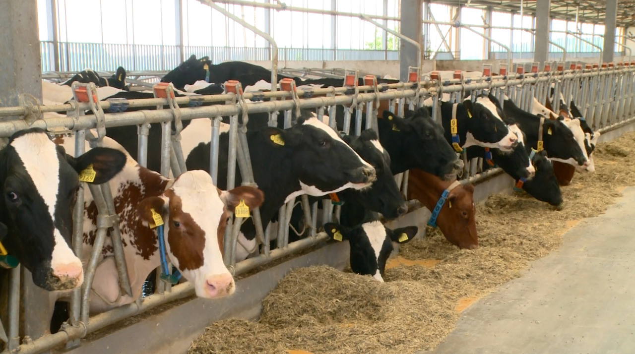 Milk subsidies: Farmers can apply until August 14