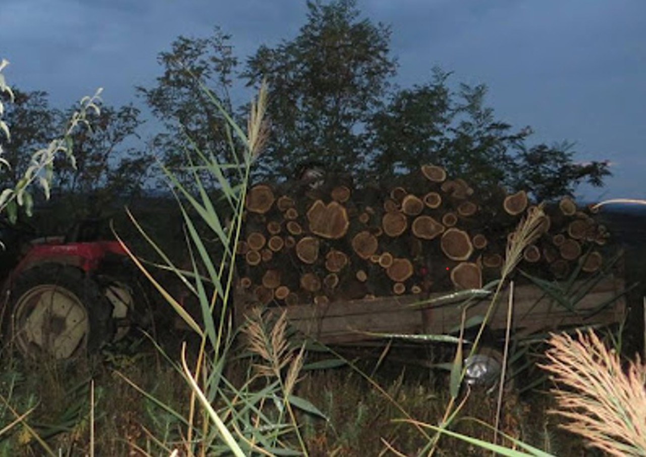 Autoritățile elaborează un mecanism de reacție imediată pentru protecția mediului: „Contravențiile se produc și pe timpul nopții”