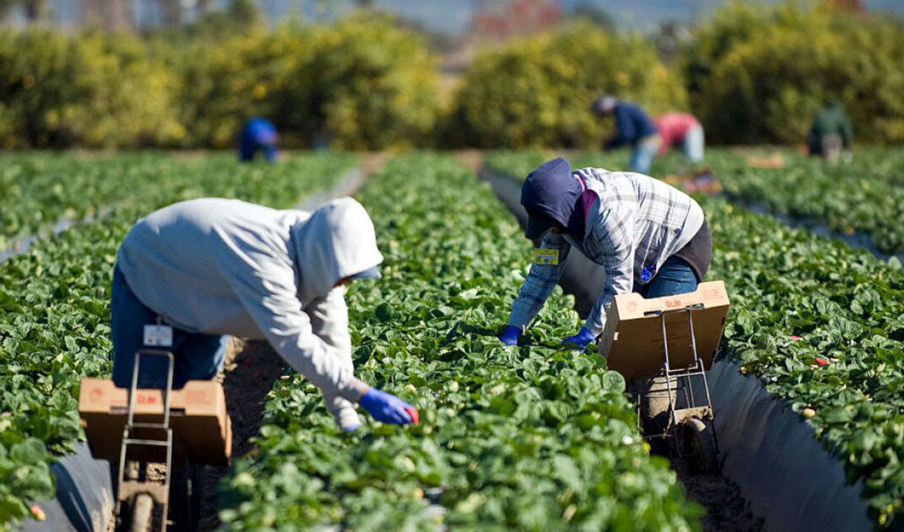 Votat în prima lectură: Registrul de evidență a zilierilor va fi digitalizat  