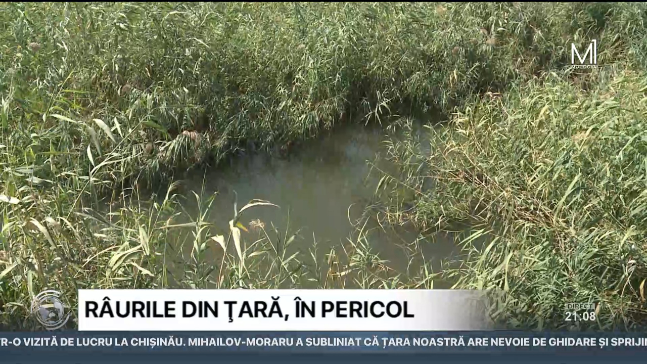 Regulament pentru agricultori//Transportatorii anunță proteste//Atacuri în Siria