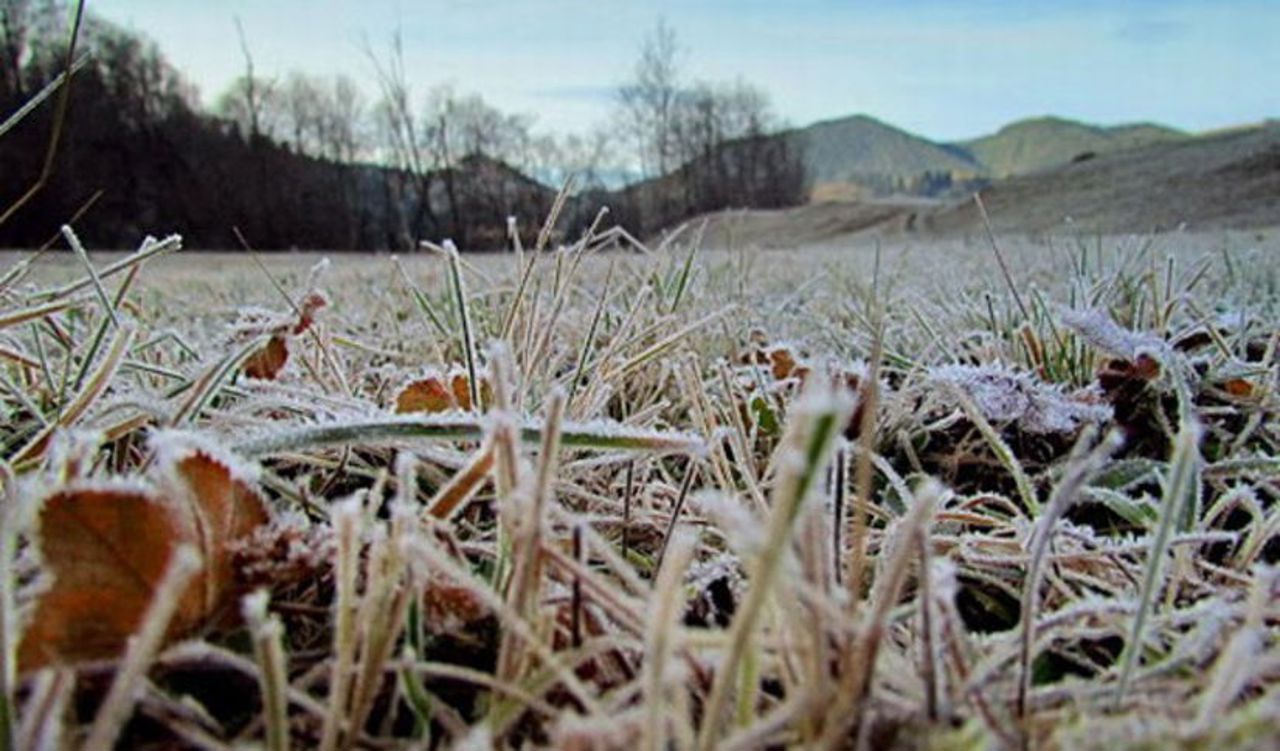 Vremea se răcește. Meteorologii au emis cod galben de îngheț