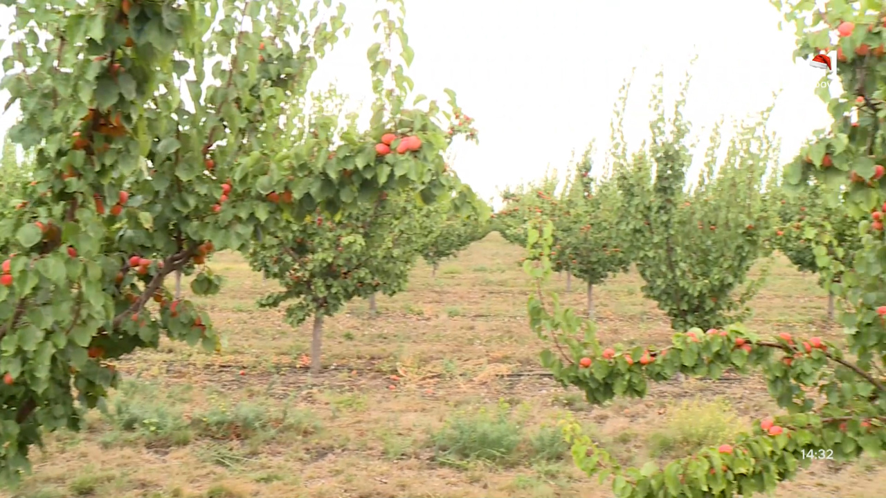 „Pământ și Oameni” din 21 decembrie 2025