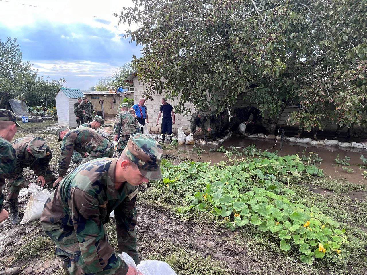 Militarii întăresc digurile de protecție din sudul țării