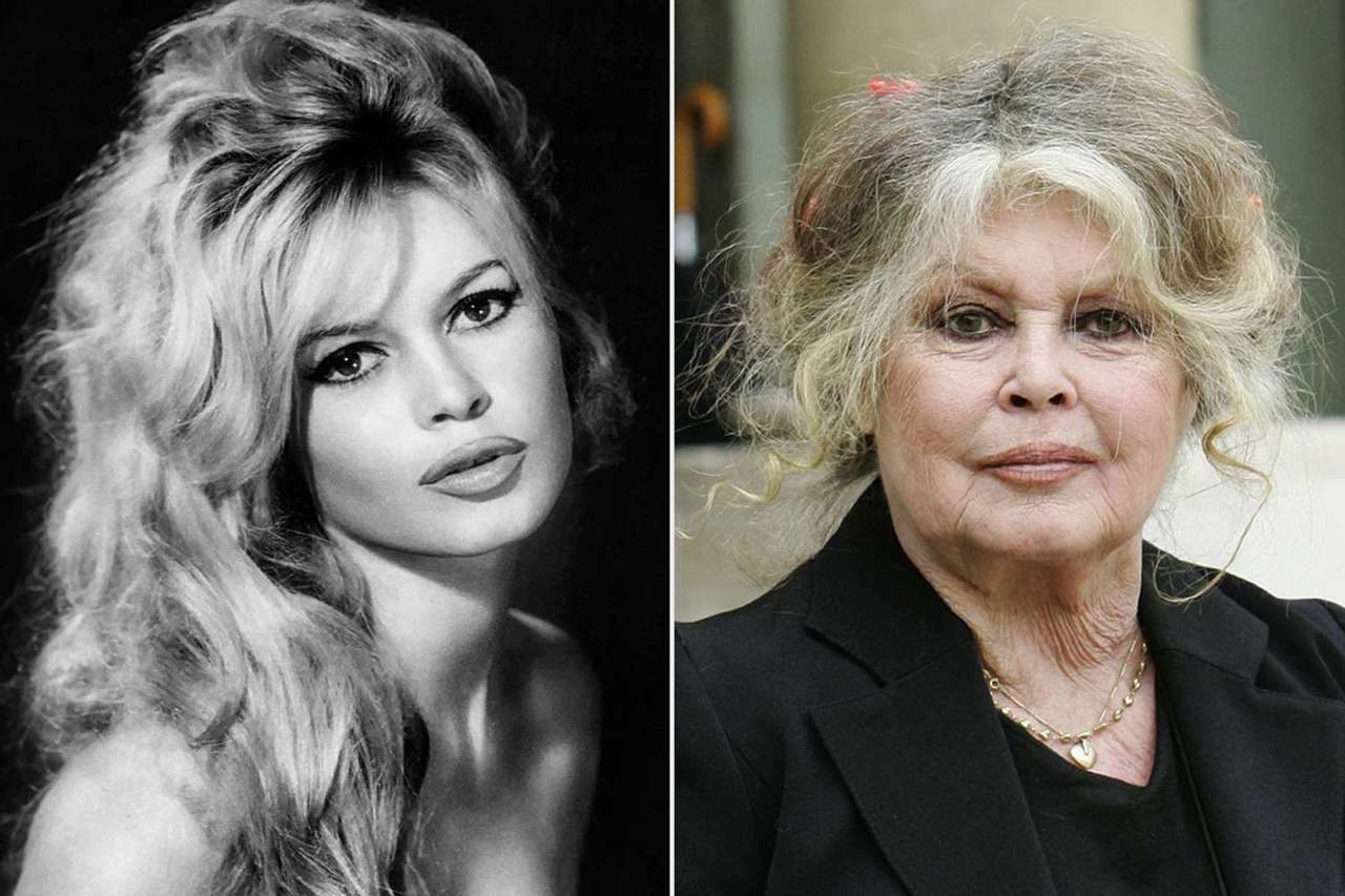 Brigitte Bardot, icon of French cinema, dies at 91